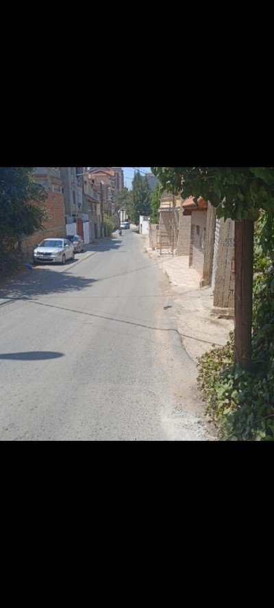 Vente Terrain Alger Saoula