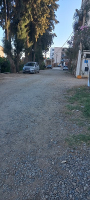 duplex-location-f5-alger-birkhadem-algerie