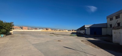 Location Hangar - Usine Alger Birtouta