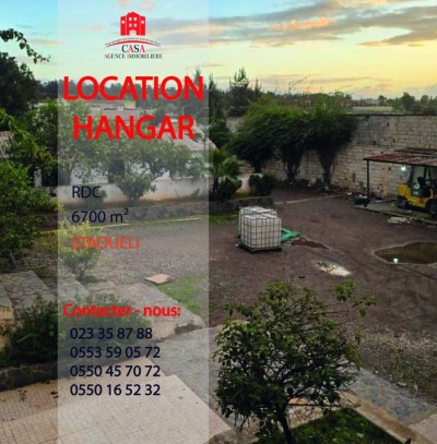 Rent Hangar - Factory Alger Staoueli