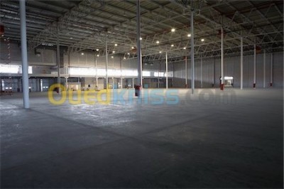 Sell Hangar Oran Es senia