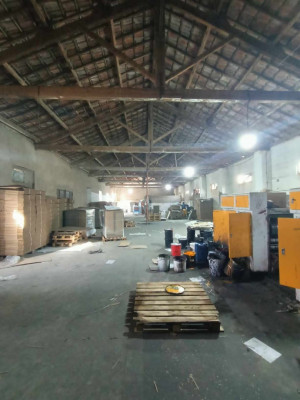 Rent Hangar Oran Boutlelis