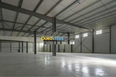 كراء مستودع - مصنع وهران وادي تليلات