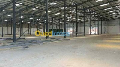 Rent Hangar - Factory Oran Oued tlelat