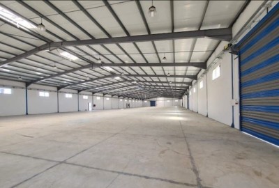 Rent Hangar - Factory Oran Tafraoui