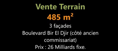 بيع أرض وهران بئر الجير