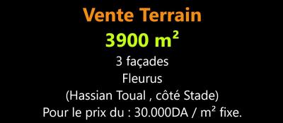 بيع أرض وهران حسيان الطوال