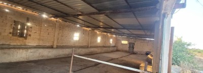 Rent Hangar - Factory Oran Ain el turck