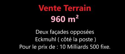 بيع أرض وهران وهران