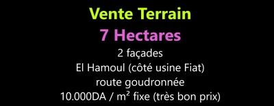 بيع أرض وهران الكرمة