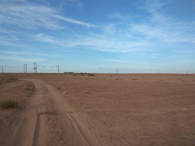 farmland-sell-laghouat-sidi-makhlouf-algeria