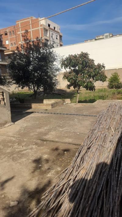 Sell Villa Alger Ain taya