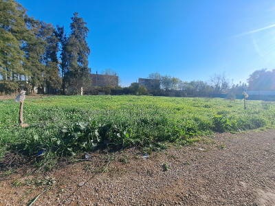 terrain-vente-alger-baraki-algerie