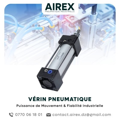 VÉRIN PNEUMATIQUE 