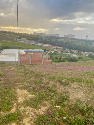 terrain-vente-boumerdes-corso-algerie