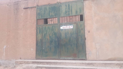 usine-vente-bien-immobilier-djelfa-ain-oussara-algerie