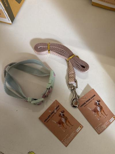 أكسسوارات-للحيوانات-laisse-et-collier-pour-chien-المدنية-الجزائر