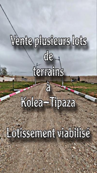 Sell Land Tipaza Kolea