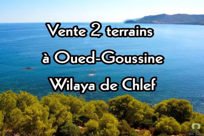 Vente Terrain Chlef Oued goussine