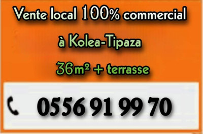 Sell Commercial Tipaza Kolea