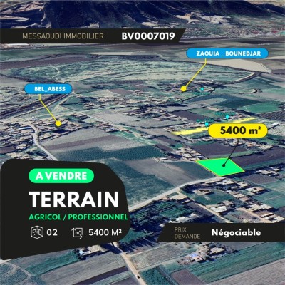 Sell Land Aïn Defla El abadia