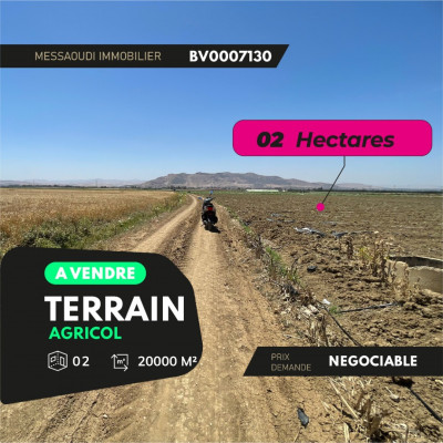 terrain-agricole-vente-ain-defla-el-abadia-algerie