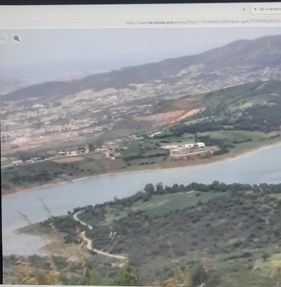 Vente Terrain Boumerdès El kharrouba