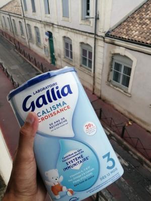 Lait Gallia Algérie