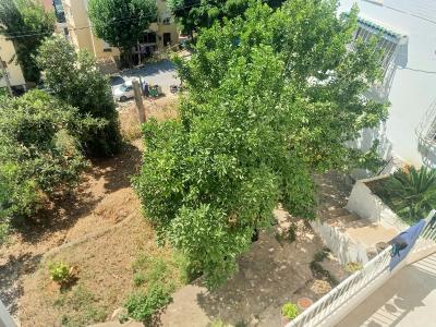 Vente Terrain Alger Hydra