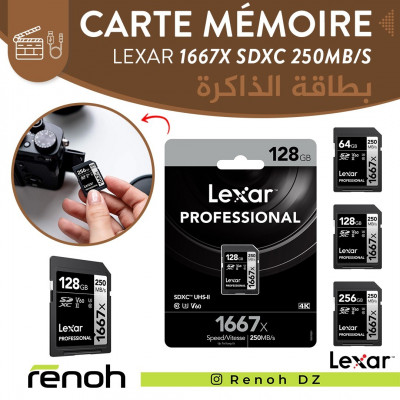 Carte Mémoire LEXAR 1667X SDXC 250MB/S SILVER