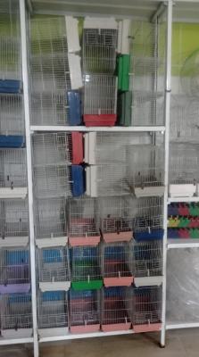 bird-cage-et-accessoires-oiseaux-tissemsilt-algeria