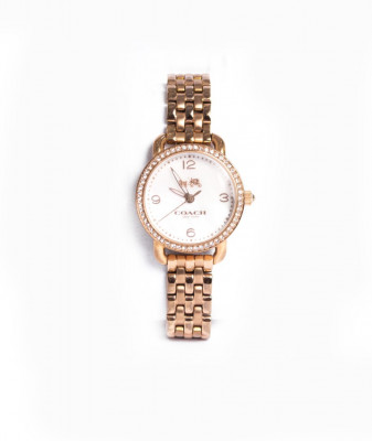 femmes-montre-ladies-coach-delancey-original-watch-14502479-hydra-alger-algerie