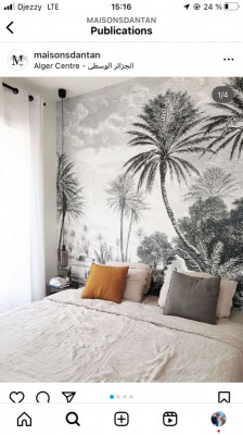 decoration-furnishing-papier-peint-chambre-alger-centre-algeria
