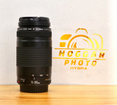 Canon EF 75-300mm f/4-5.6 II