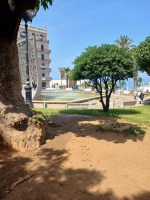 Sell Apartment F3 Alger Bab el oued
