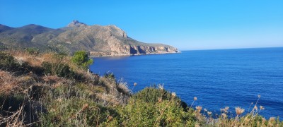 بيع أرض الشلف وادي قوسين