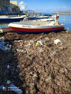 bateaux-rigide-bauout-5m-50-zouba-marine-fouka-tipaza-algerie