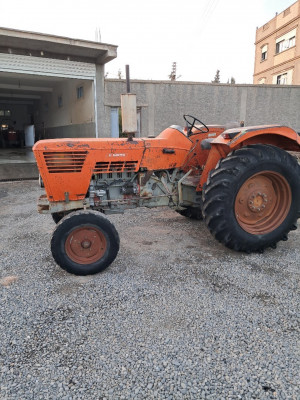 tracteurs-cirta-3v-1983-bouira-algerie