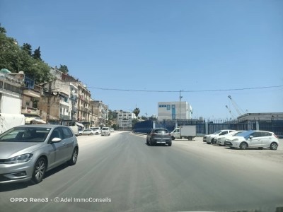 Rent Apartment F3 Annaba Annaba