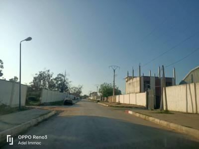 Vente Terrain Annaba Barrahel