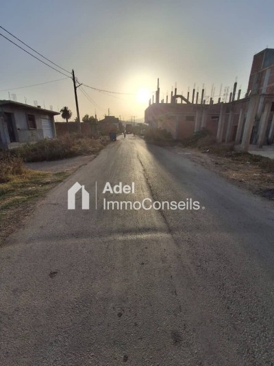 Sell Land Annaba El bouni