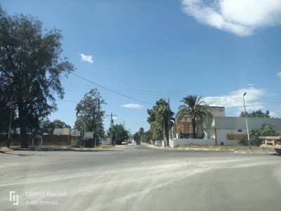 Sell Hangar - Factory Annaba El hadjar