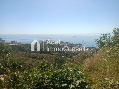 Sell Land Annaba Annaba