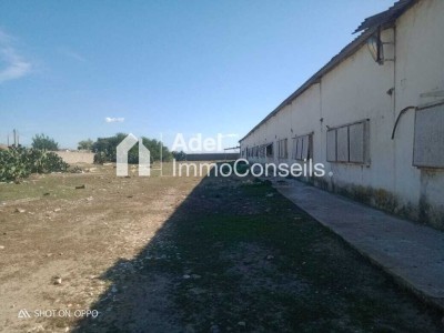 Sell Land Annaba Cheurfa