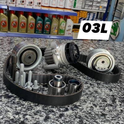 KIT CHAINE 1.6TDI 2.0TDI 03L (VW/SEAT/SKODA/AUDI)