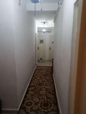 apartment-rent-f3-skikda-algeria