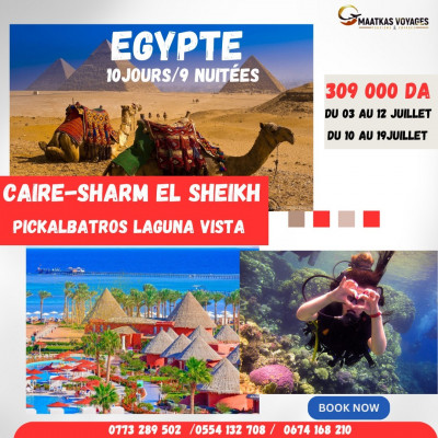 voyage-organise-hotel-pickalbatros-sharm-el-sheikh-combine-le-caire-birtouta-alger-algerie