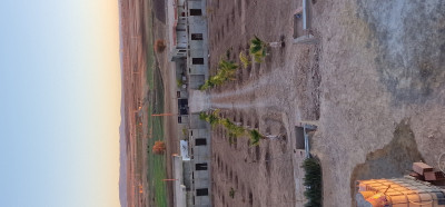 terrain-agricole-vente-sidi-bel-abbes-lamtar-algerie