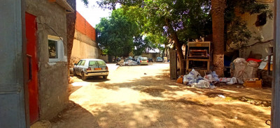 usine-location-alger-ouled-chebel-algerie