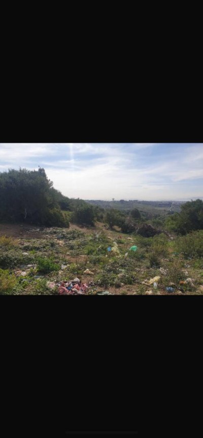Vente Terrain Alger Beni messous